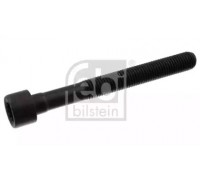 Болт головки цилиндра FEBI BILSTEIN 07978 07978 FEBI BILSTEIN - купить в магазине запчастей по Украине