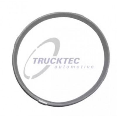 Прокладка, корпус впускного коллектора 0810060 TRUCKTEC AUTOMOTIVE - купить в магазине запчастей по Украине