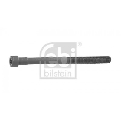 Болт головки цилиндра 10179 FEBI BILSTEIN - купить в магазине запчастей по Украине