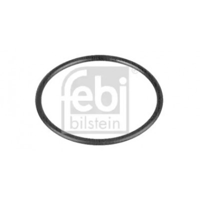 Прокладка, термостат 10258 FEBI BILSTEIN - купить в магазине запчастей по Украине