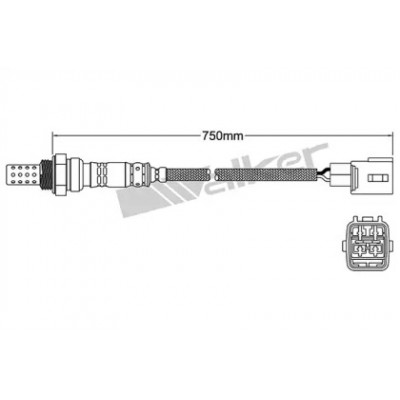 Лямбда-зонд 25024176 WALKER PRODUCTS - купить в магазине запчастей по Украине