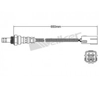 25024769 WALKER PRODUCTS - купить в магазине запчастей по Украине