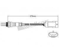 25024781 WALKER PRODUCTS - купить в магазине запчастей по Украине