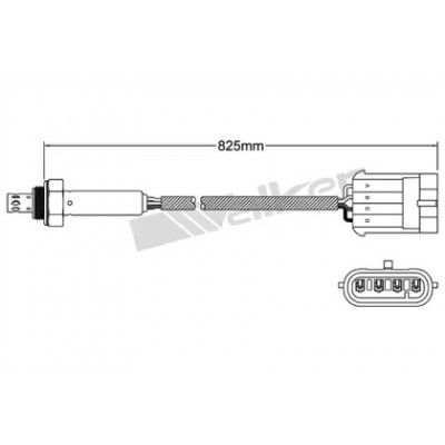 Лямбда-зонд 25024803 WALKER PRODUCTS - купить в магазине запчастей по Украине