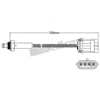 Лямбда-зонд 25024806 WALKER PRODUCTS - купить в магазине запчастей по Украине