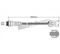 25024921 WALKER PRODUCTS - купити в магазині запчастин по Україні