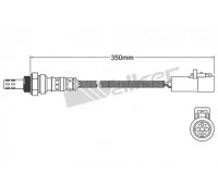25024939 WALKER PRODUCTS - купить в магазине запчастей по Украине