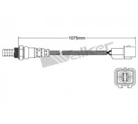 25024990 WALKER PRODUCTS - купить в магазине запчастей по Украине