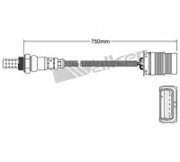 Лямбда-зонд WALKER PRODUCTS 250-24991 25024991 WALKER PRODUCTS - купить в магазине запчастей по Украине