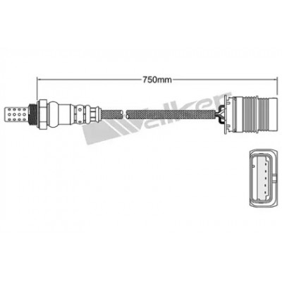 Лямбда-зонд 25024991 WALKER PRODUCTS - купить в магазине запчастей по Украине