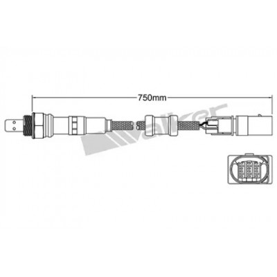 Лямбда-зонд 25025092 WALKER PRODUCTS - купить в магазине запчастей по Украине