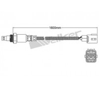 25054091 WALKER PRODUCTS - купить в магазине запчастей по Украине