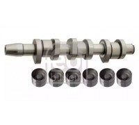 Комплект распредвала FEBI BILSTEIN 33017 33017 FEBI BILSTEIN - купить в магазине запчастей по Украине