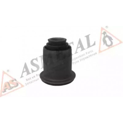 Подвеска, рычаг независимой подвески колеса 38RN5541 ASMETAL - купить в магазине запчастей по Украине