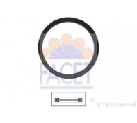 79605 FACET - купить в магазине запчастей по Украине