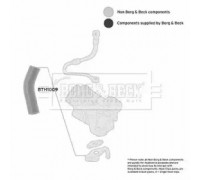 Трубка нагнетаемого воздуха BORG and BECK BTH1009 BTH1009 BORG and BECK - купити в магазині запчастин по Україні