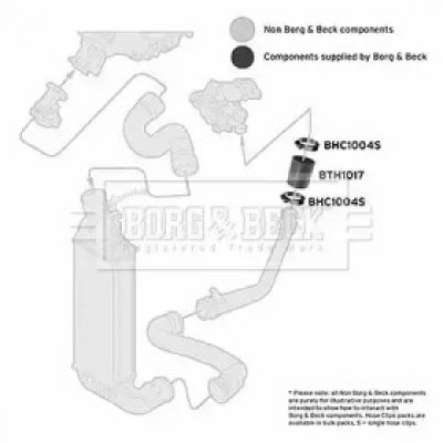 Трубка нагнетаемого воздуха BTH1017 BORG and BECK - купить в магазине запчастей по Украине
