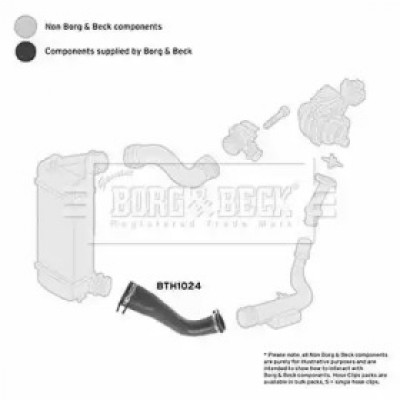 Трубка нагнетаемого воздуха BTH1024 BORG and BECK - купить в магазине запчастей по Украине