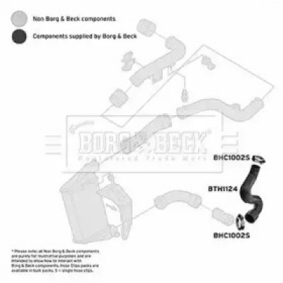 Трубка нагнетаемого воздуха BTH1124 BORG and BECK - купить в магазине запчастей по Украине