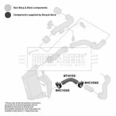 Трубка нагнетаемого воздуха BTH1125 BORG and BECK - купить в магазине запчастей по Украине