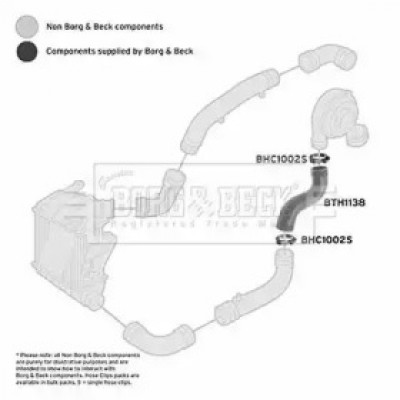Трубка нагнетаемого воздуха BTH1138 BORG and BECK - купить в магазине запчастей по Украине