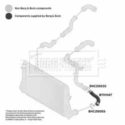 Трубка нагнетаемого воздуха BTH1147 BORG and BECK - купить в магазине запчастей по Украине