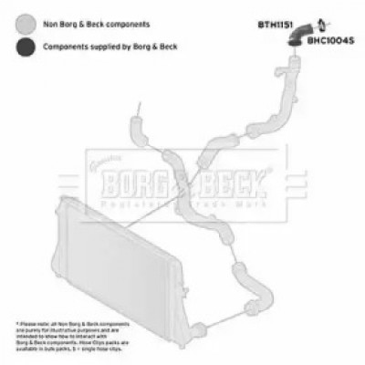 Трубка нагнетаемого воздуха BTH1151 BORG and BECK - купить в магазине запчастей по Украине