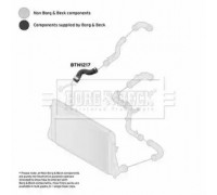 Трубка нагнетаемого воздуха BORG and BECK BTH1217 BTH1217 BORG and BECK - купить в магазине запчастей по Украине