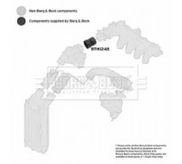 Трубка нагнетаемого воздуха BORG and BECK BTH1248 BTH1248 BORG and BECK - купить в магазине запчастей по Украине