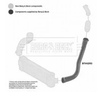 Трубка нагнетаемого воздуха BORG and BECK BTH1293 BTH1293 BORG and BECK - купить в магазине запчастей по Украине