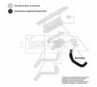 Трубка нагнетаемого воздуха BORG and BECK BTH1294 BTH1294 BORG and BECK - купить в магазине запчастей по Украине