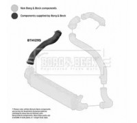 Трубка нагнетаемого воздуха BORG and BECK BTH1295 BTH1295 BORG and BECK - купить в магазине запчастей по Украине