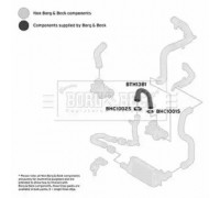 Трубка нагнетаемого воздуха BORG and BECK BTH1381 BTH1381 BORG and BECK - купить в магазине запчастей по Украине