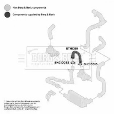 Трубка нагнетаемого воздуха BTH1381 BORG and BECK - купить в магазине запчастей по Украине