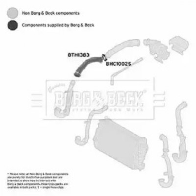 Трубка нагнетаемого воздуха BTH1383 BORG and BECK - купити в магазині запчастин по Україні