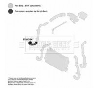 Трубка нагнетаемого воздуха BORG and BECK BTH1384 BTH1384 BORG and BECK - купить в магазине запчастей по Украине
