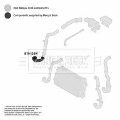 Трубка нагнетаемого воздуха BTH1384 BORG and BECK - купить в магазине запчастей по Украине