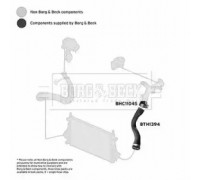 Трубка нагнетаемого воздуха BORG and BECK BTH1394 BTH1394 BORG and BECK - купить в магазине запчастей по Украине