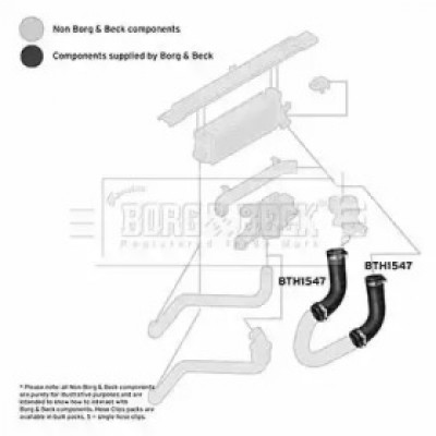 Трубка нагнетаемого воздуха BTH1547 BORG and BECK - купить в магазине запчастей по Украине