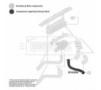 Трубка нагнетаемого воздуха BORG and BECK BTH1556 BTH1556 BORG and BECK - купить в магазине запчастей по Украине