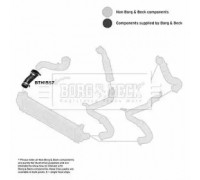 Трубка нагнетаемого воздуха BORG and BECK BTH1557 BTH1557 BORG and BECK - купить в магазине запчастей по Украине