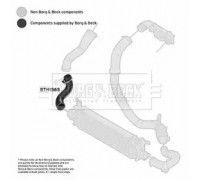 Трубка нагнетаемого воздуха BORG and BECK BTH1565 BTH1565 BORG and BECK - купить в магазине запчастей по Украине