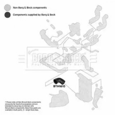Трубка нагнетаемого воздуха BTH1610 BORG and BECK - купить в магазине запчастей по Украине