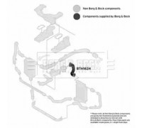 Трубка нагнетаемого воздуха BORG and BECK BTH1624 BTH1624 BORG and BECK - купить в магазине запчастей по Украине