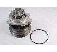 Водяной насос THERMOTEC D1F070TT D1F070TT THERMOTEC - купить в магазине запчастей по Украине