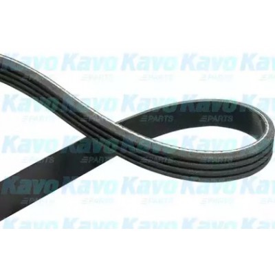 Поликлиновой ремень DMV1034 KAVO PARTS - купить в магазине запчастей по Украине