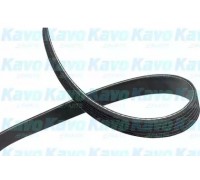 Поликлиновой ремень KAVO PARTS DMV-2061 DMV2061 KAVO PARTS - купити в магазині запчастин по Україні