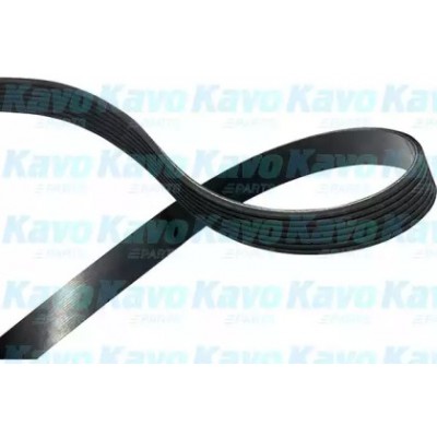 Поликлиновой ремень DMV2071 KAVO PARTS - купить в магазине запчастей по Украине