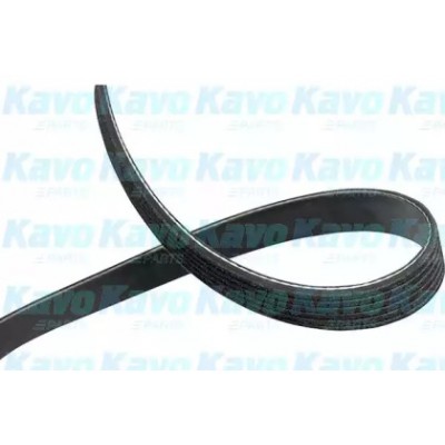 Поликлиновой ремень DMV3010 KAVO PARTS - купить в магазине запчастей по Украине
