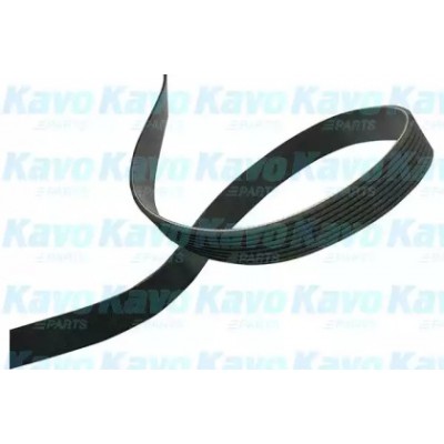 Поликлиновой ремень DMV4552 KAVO PARTS - купить в магазине запчастей по Украине
